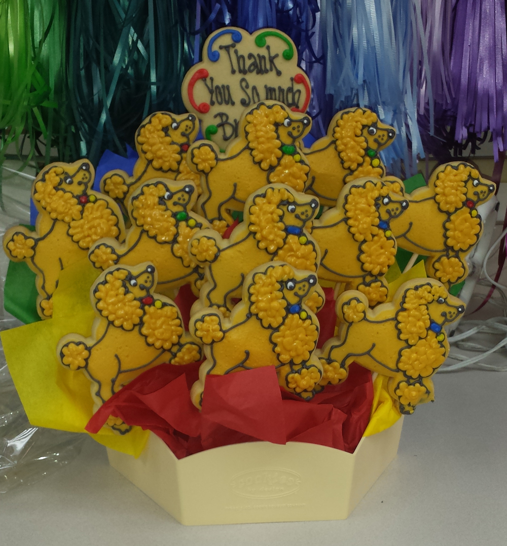 Poodles Poodles